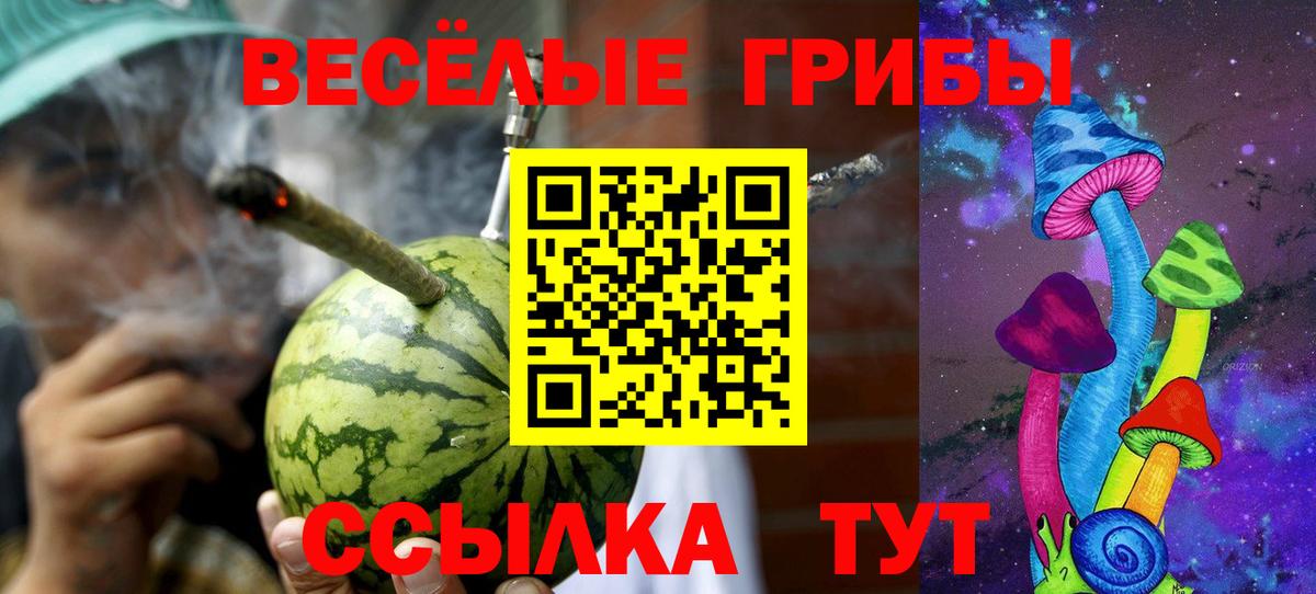 Псилоцибиновые грибы Magic Shrooms  Псилоцибиновые грибы мицелий  Черкесск  Вход с VPN 